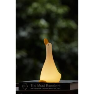 Rammelaartje - Nachtlampje Goose met 3 standen en 30 minuten timer