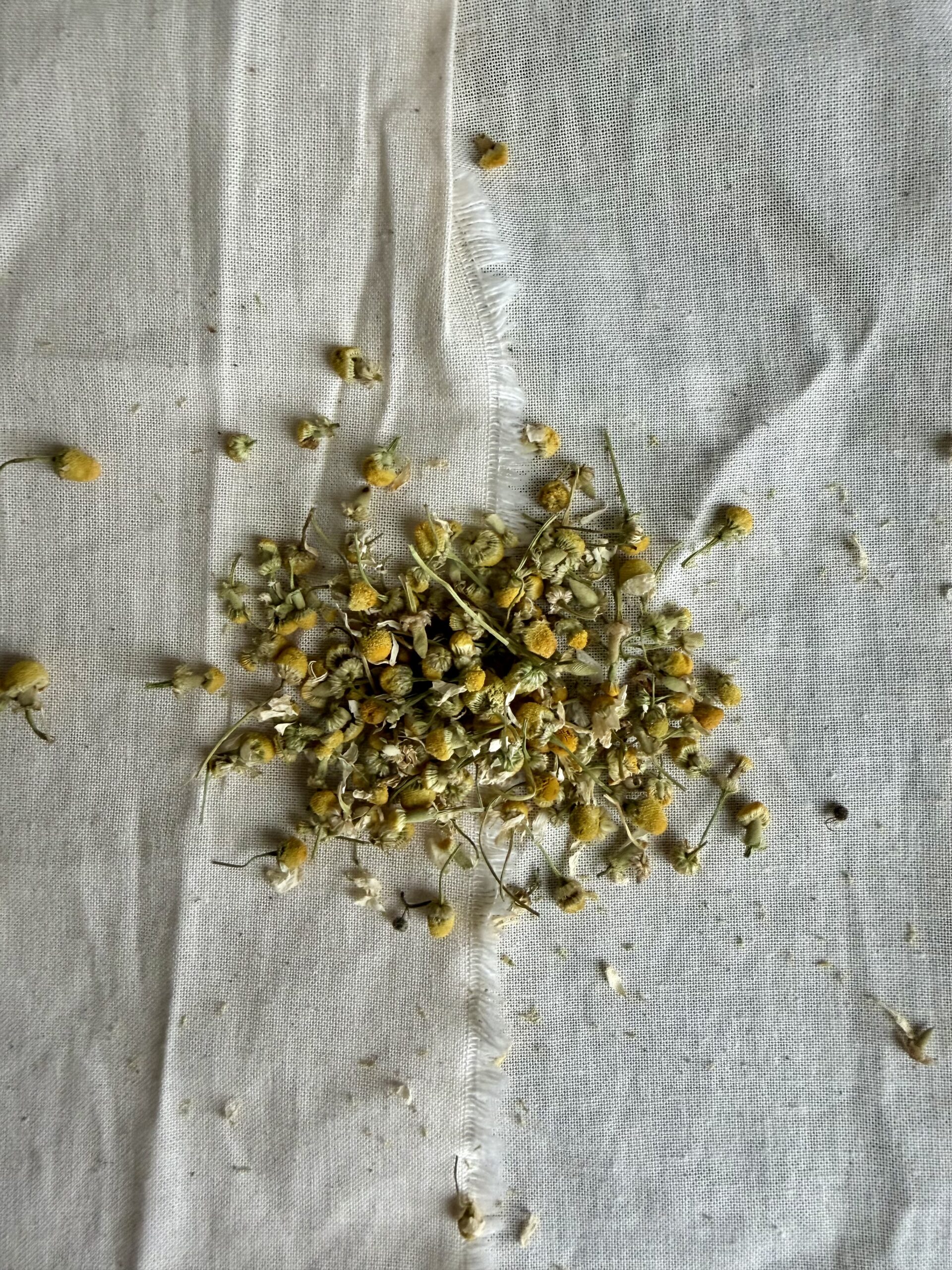 Kamillethee – Zacht, Rustgevend & Veelzijdig - Afbeelding 3